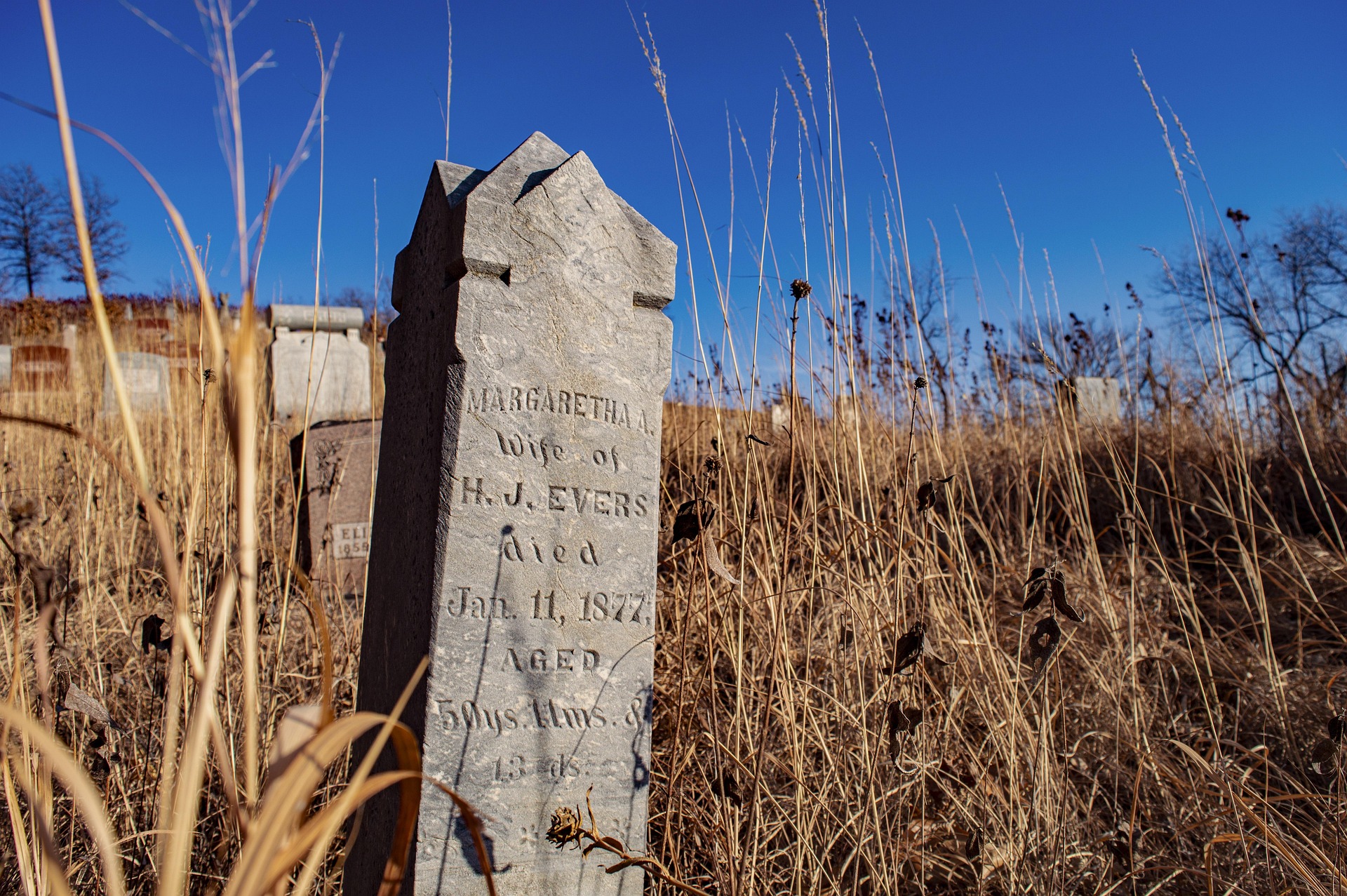 Wake Cemetery Survey